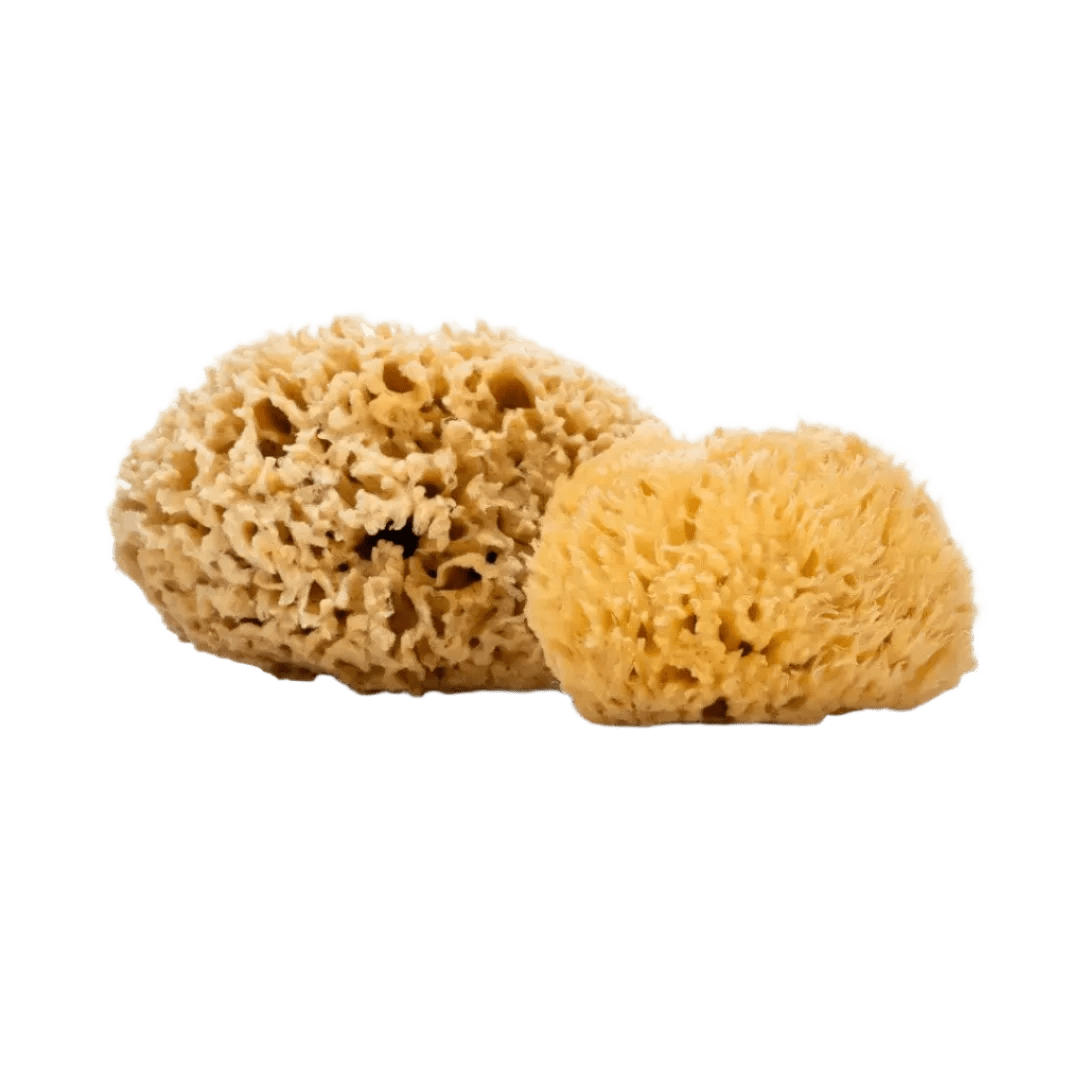 Sunja Link Body Shoppe sponge Plastic Free Organic Sea Sponge sunja link - canada