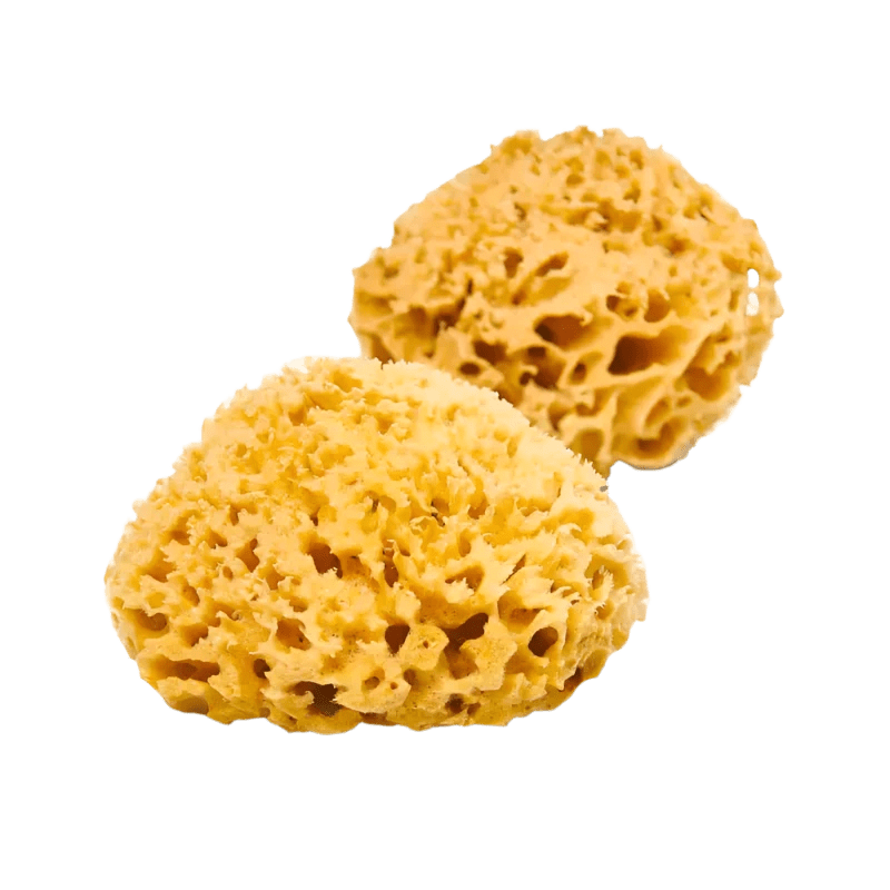 Sunja Link Body Shoppe sponge Plastic Free Organic Sea Sponge sunja link - canada